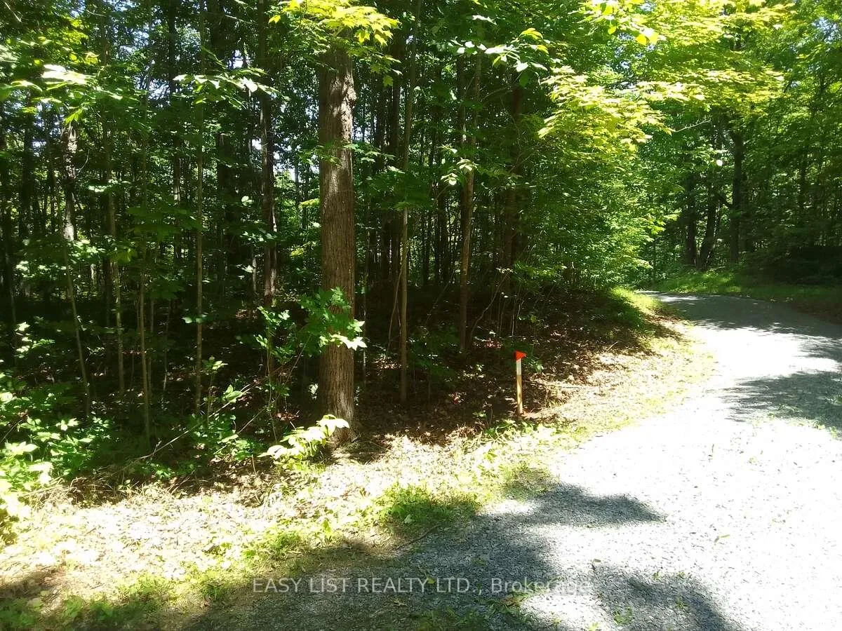 Photo 13 of 75 - 372 Murphy Road, Rideau Lakes, Rideau Lakes (North Crosby) Twp — HOMEH
