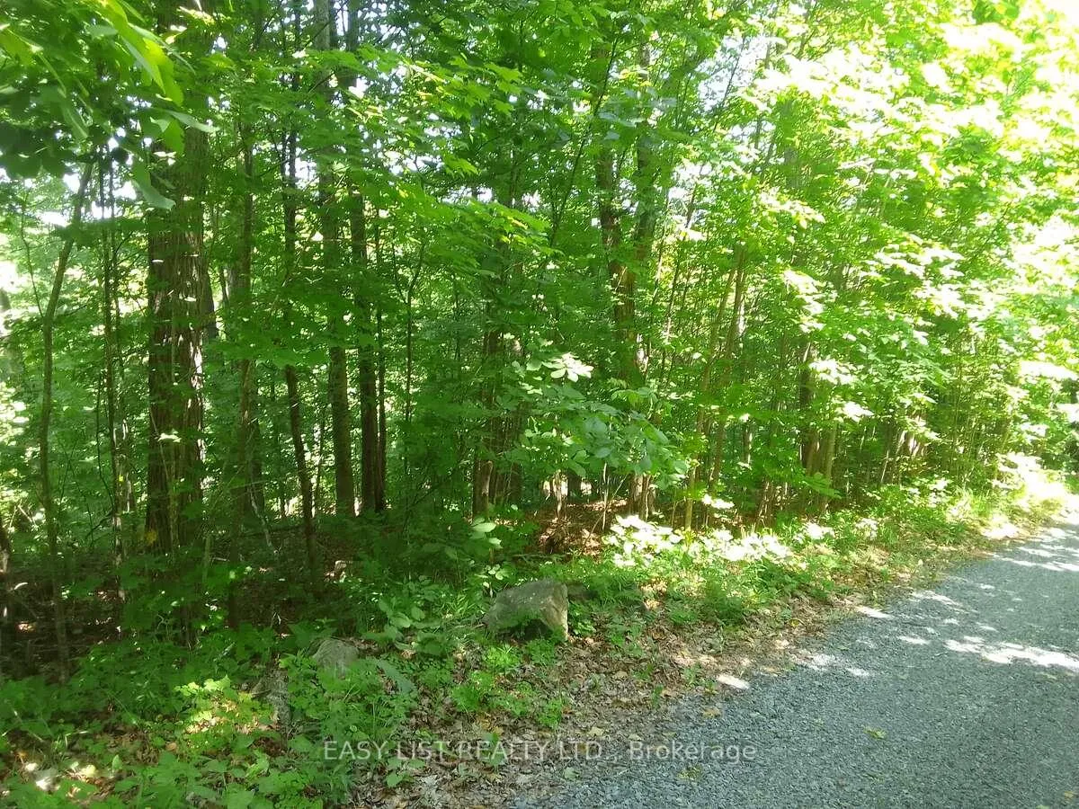 Photo 14 of 75 - 372 Murphy Road, Rideau Lakes, Rideau Lakes (North Crosby) Twp — HOMEH