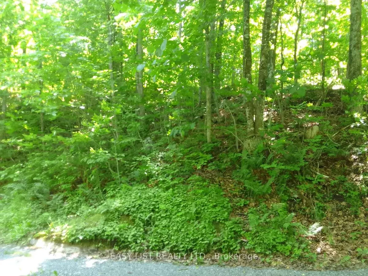 Photo 15 of 75 - 372 Murphy Road, Rideau Lakes, Rideau Lakes (North Crosby) Twp — HOMEH