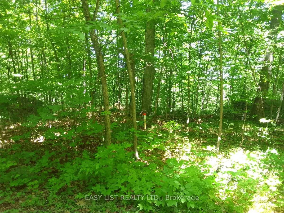 Photo 16 of 75 - 372 Murphy Road, Rideau Lakes, Rideau Lakes (North Crosby) Twp — HOMEH