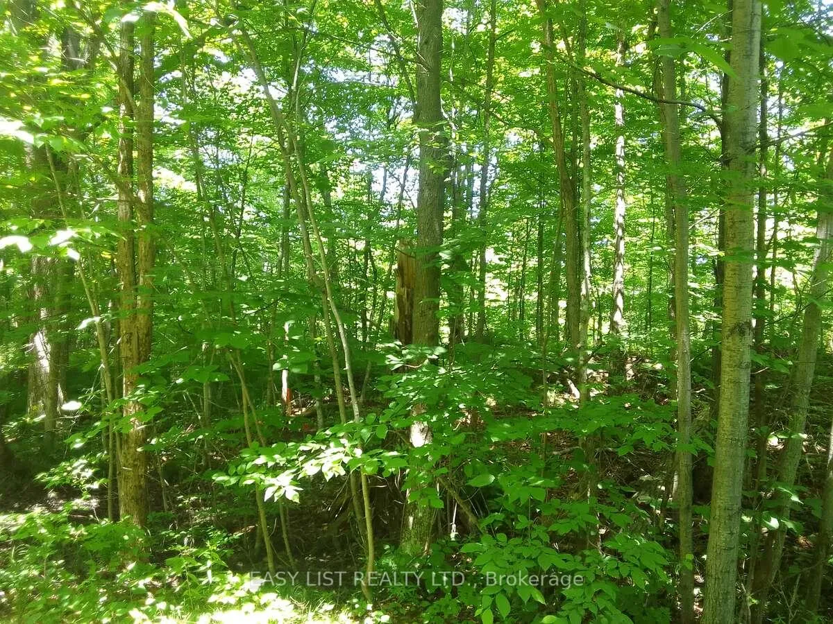 Photo 17 of 75 - 372 Murphy Road, Rideau Lakes, Rideau Lakes (North Crosby) Twp — HOMEH
