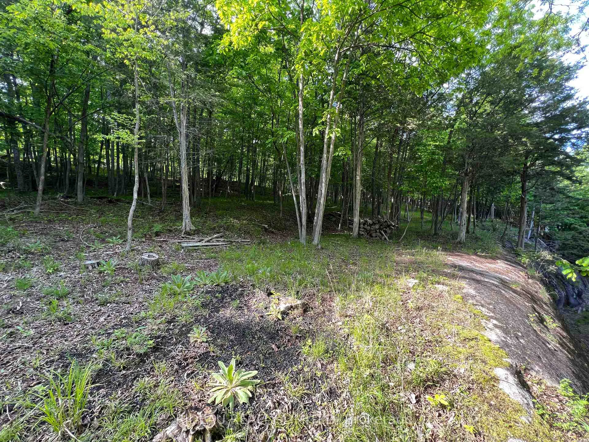 Photo 12 of Lot 3 Walnut Island, Rideau Lakes, Rideau Lakes (South Crosby) Twp — HOMEH