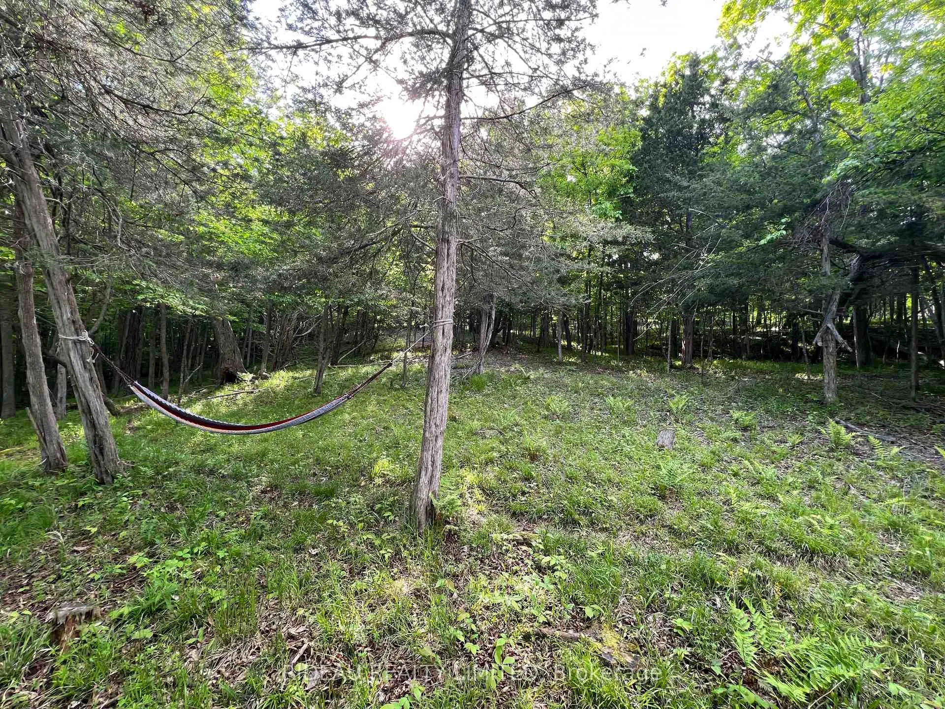 Photo 13 of Lot 3 Walnut Island, Rideau Lakes, Rideau Lakes (South Crosby) Twp — HOMEH