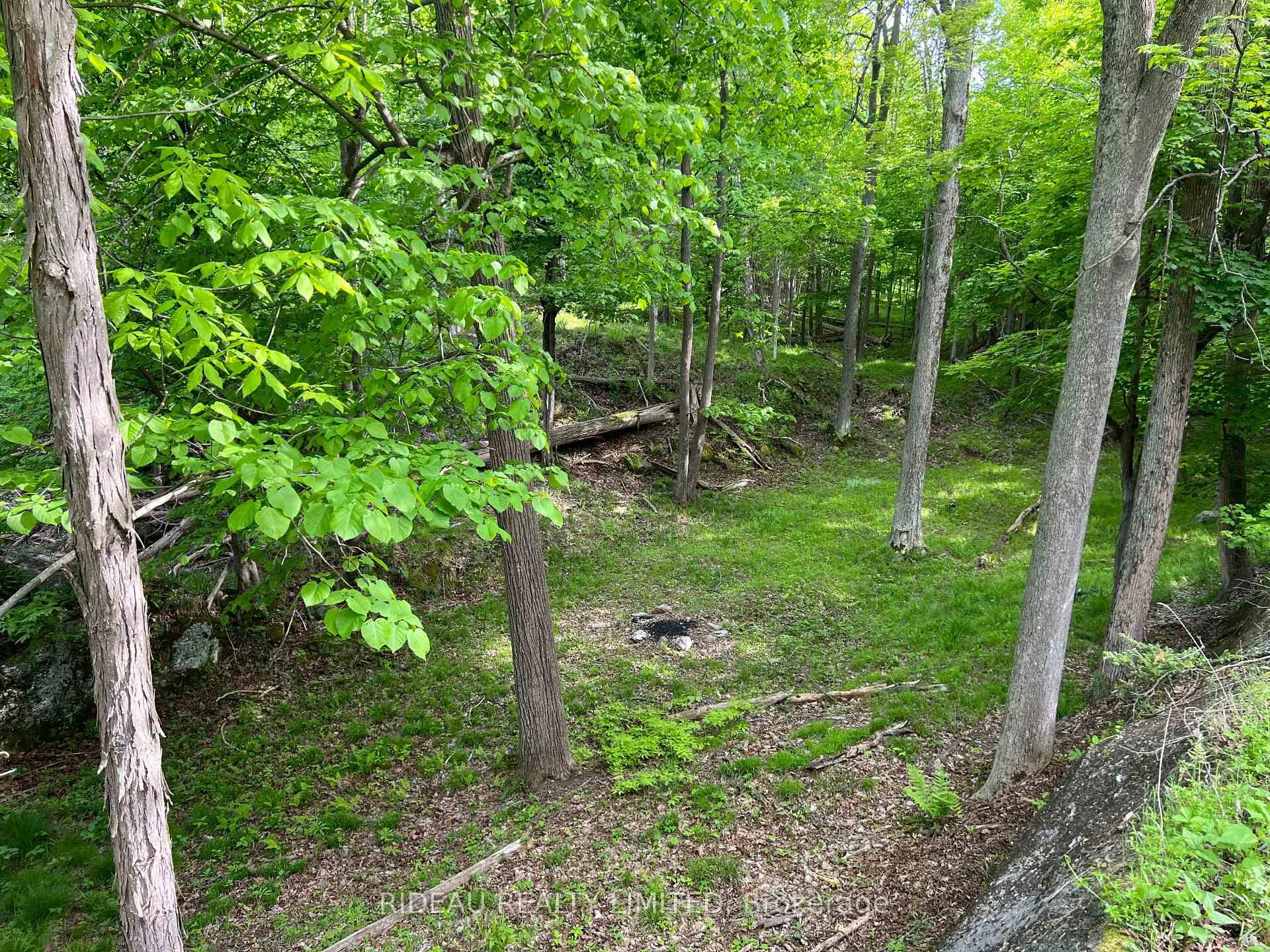 Photo 14 of Lot 3 Walnut Island, Rideau Lakes, Rideau Lakes (South Crosby) Twp — HOMEH