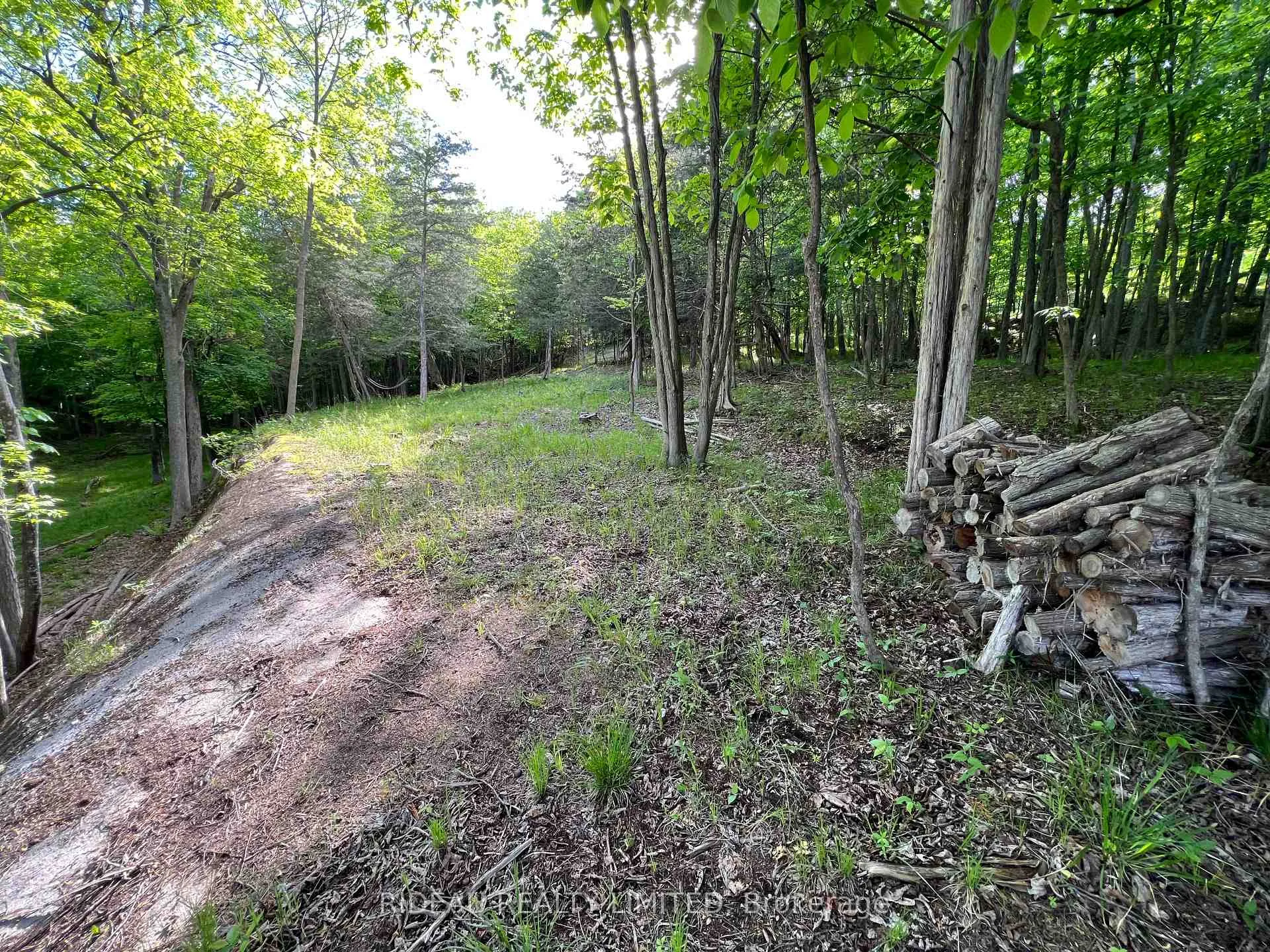 Photo 15 of Lot 3 Walnut Island, Rideau Lakes, Rideau Lakes (South Crosby) Twp — HOMEH