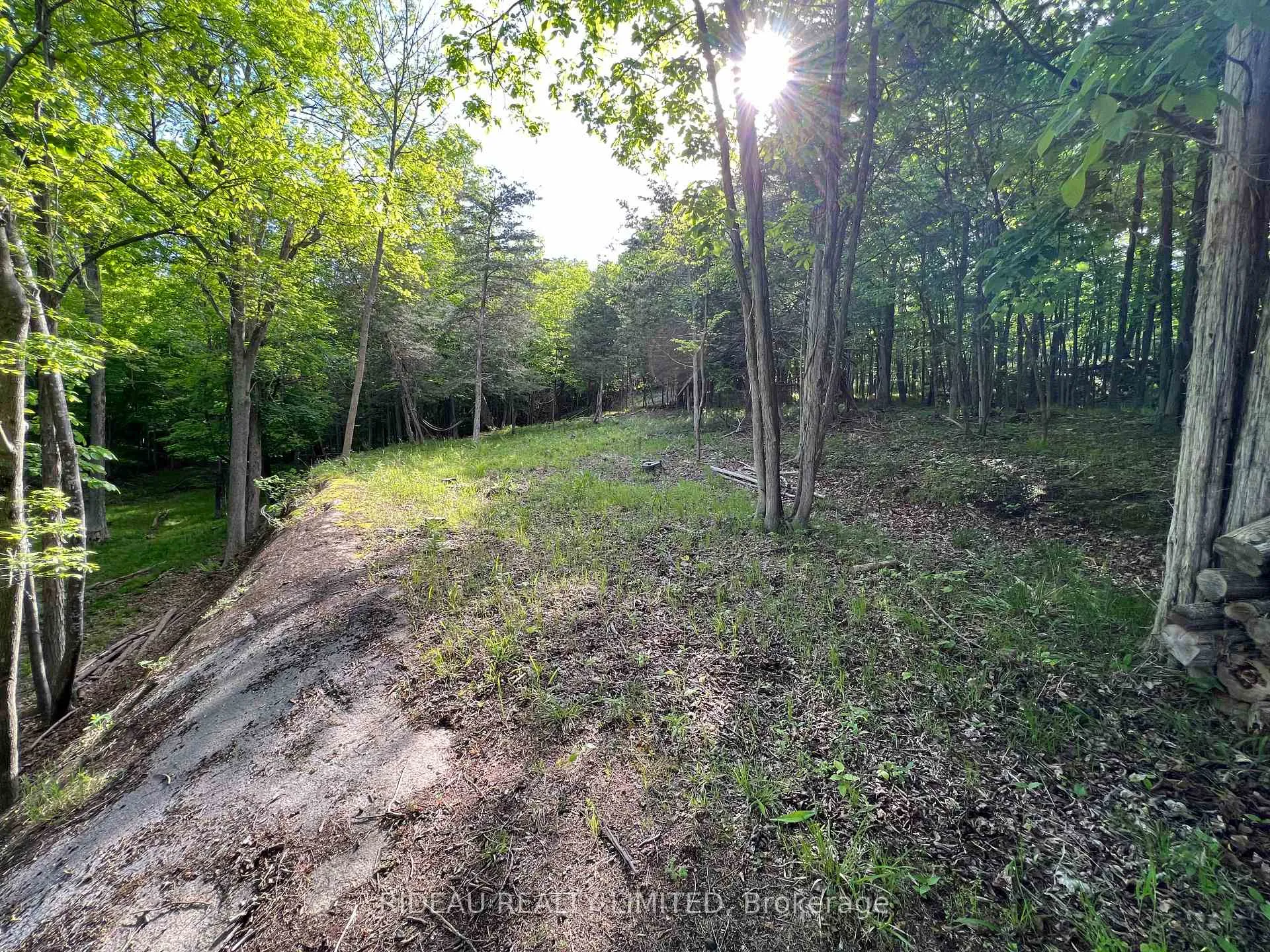 Photo 16 of Lot 3 Walnut Island, Rideau Lakes, Rideau Lakes (South Crosby) Twp — HOMEH