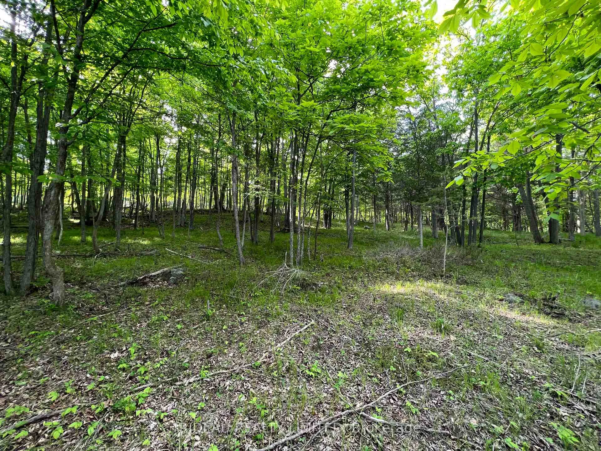 Photo 17 of Lot 3 Walnut Island, Rideau Lakes, Rideau Lakes (South Crosby) Twp — HOMEH