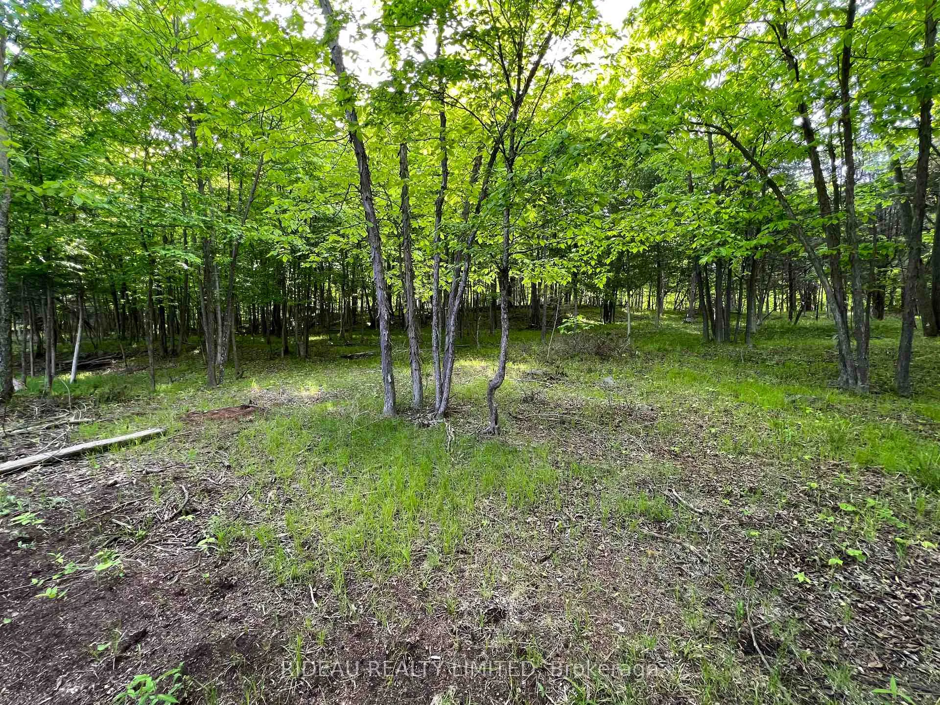 Photo 18 of Lot 3 Walnut Island, Rideau Lakes, Rideau Lakes (South Crosby) Twp — HOMEH