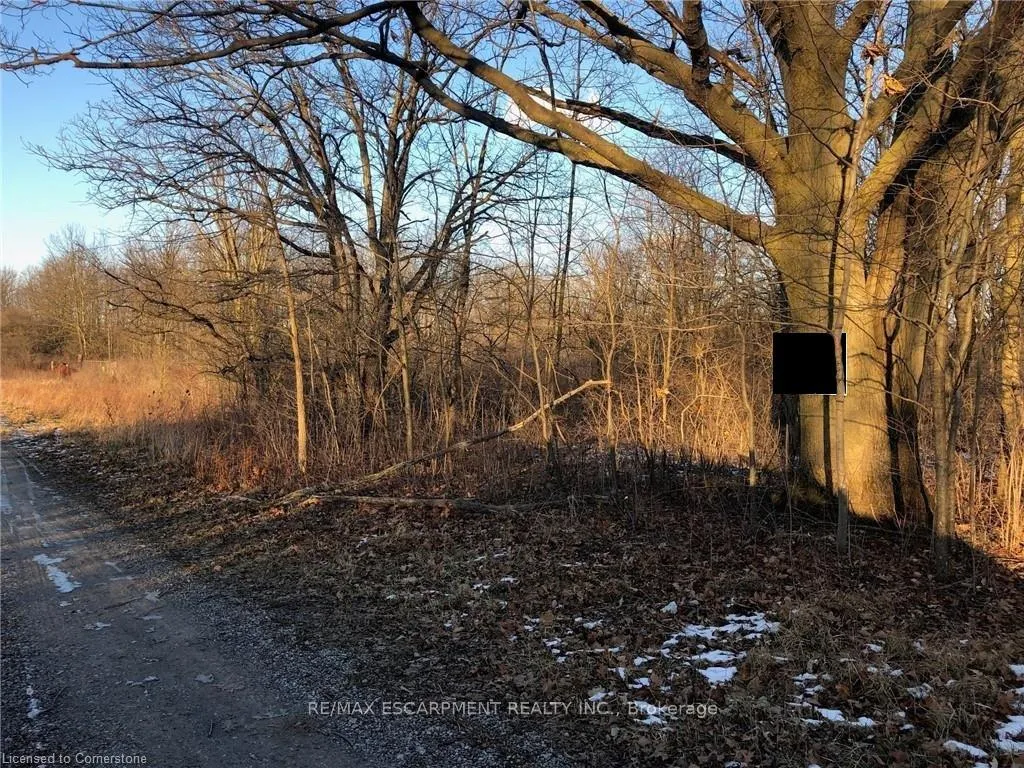 Front of LOT 11 Hald-Dunn Townline Road