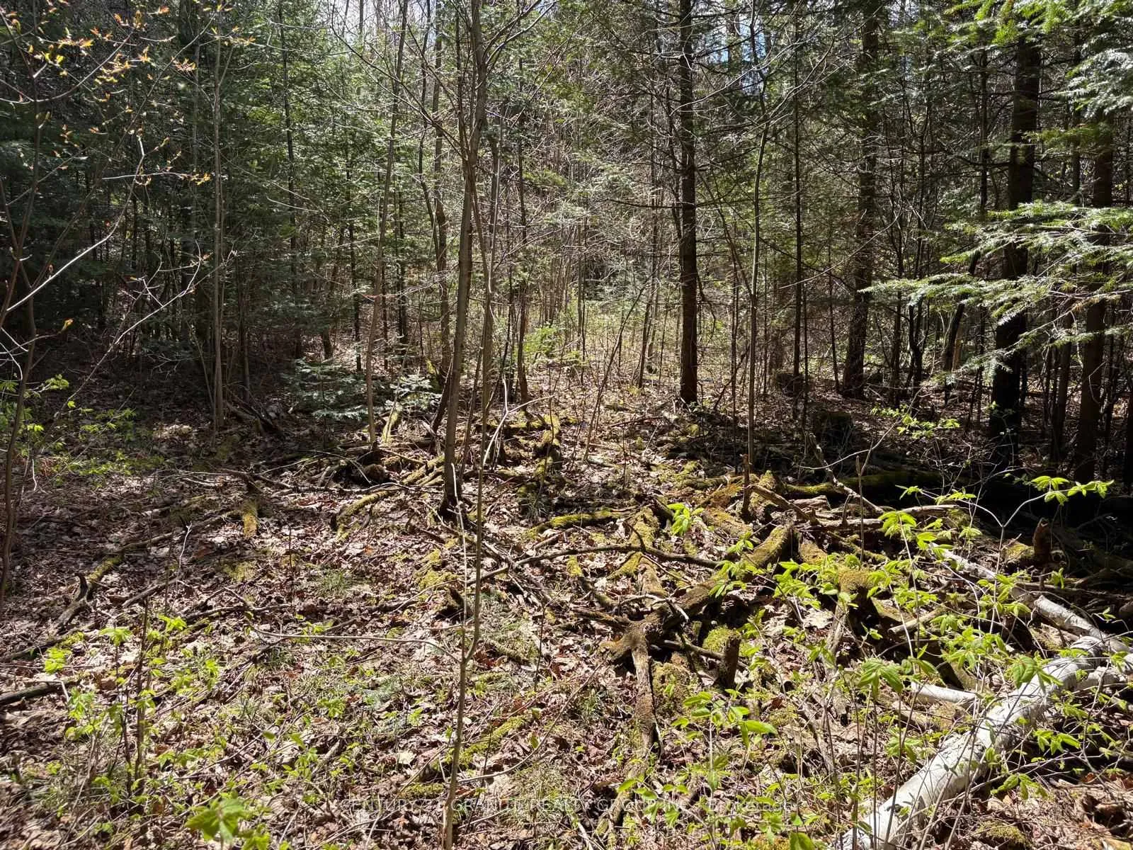 Photo 1 of 00 Monck Road, Faraday — HOMEH