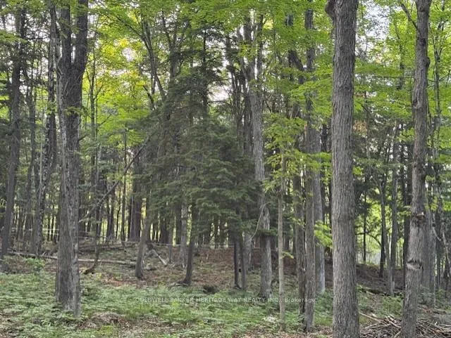Photo 3 of 634 Dalhousie 5A Concession, Lanark Highlands, Lanark Highlands (Dalhousie) Twp — HOMEH