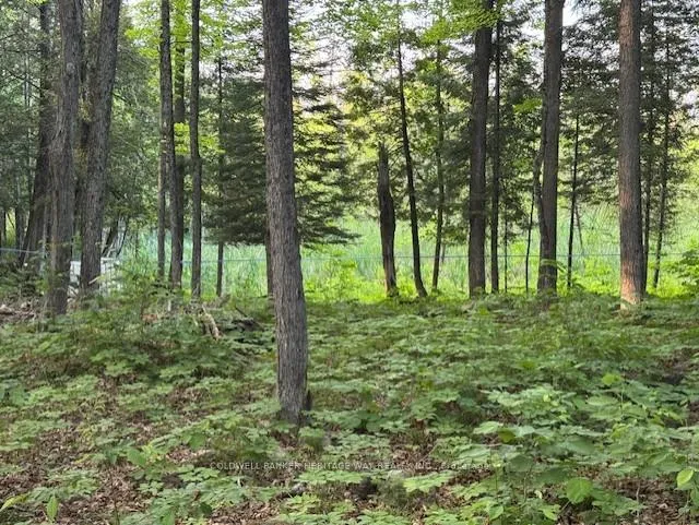 Photo 4 of 634 Dalhousie 5A Concession, Lanark Highlands, Lanark Highlands (Dalhousie) Twp — HOMEH