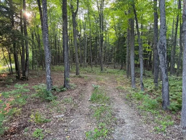 Photo 5 of 634 Dalhousie 5A Concession, Lanark Highlands, Lanark Highlands (Dalhousie) Twp — HOMEH