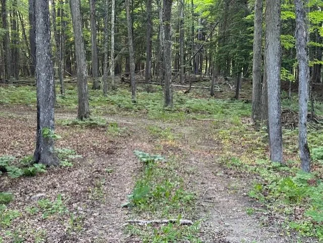 Photo 6 of 634 Dalhousie 5A Concession, Lanark Highlands, Lanark Highlands (Dalhousie) Twp — HOMEH