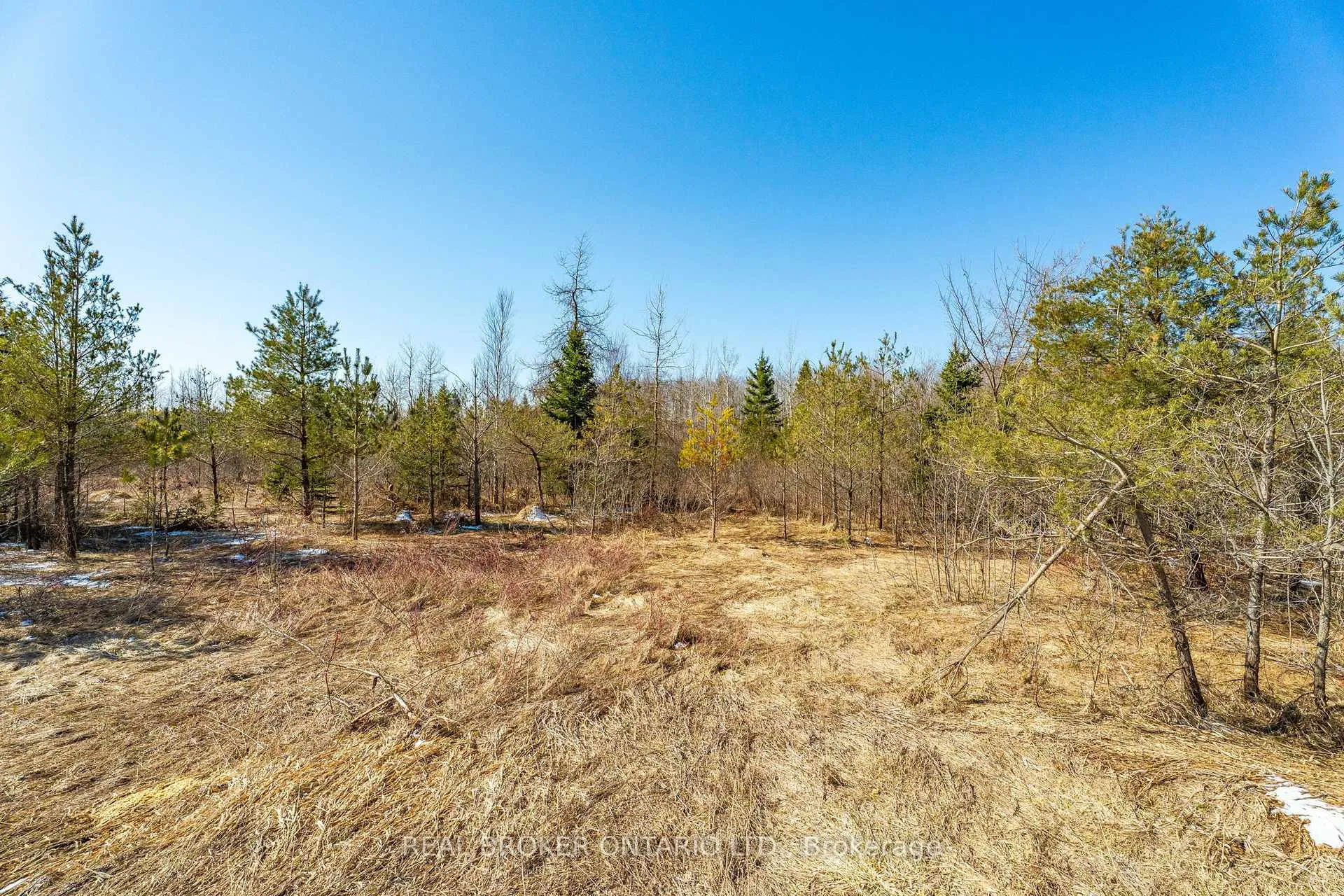 Photo 47 of Concession 11 Part Lot 42, Southgate — HOMEH
