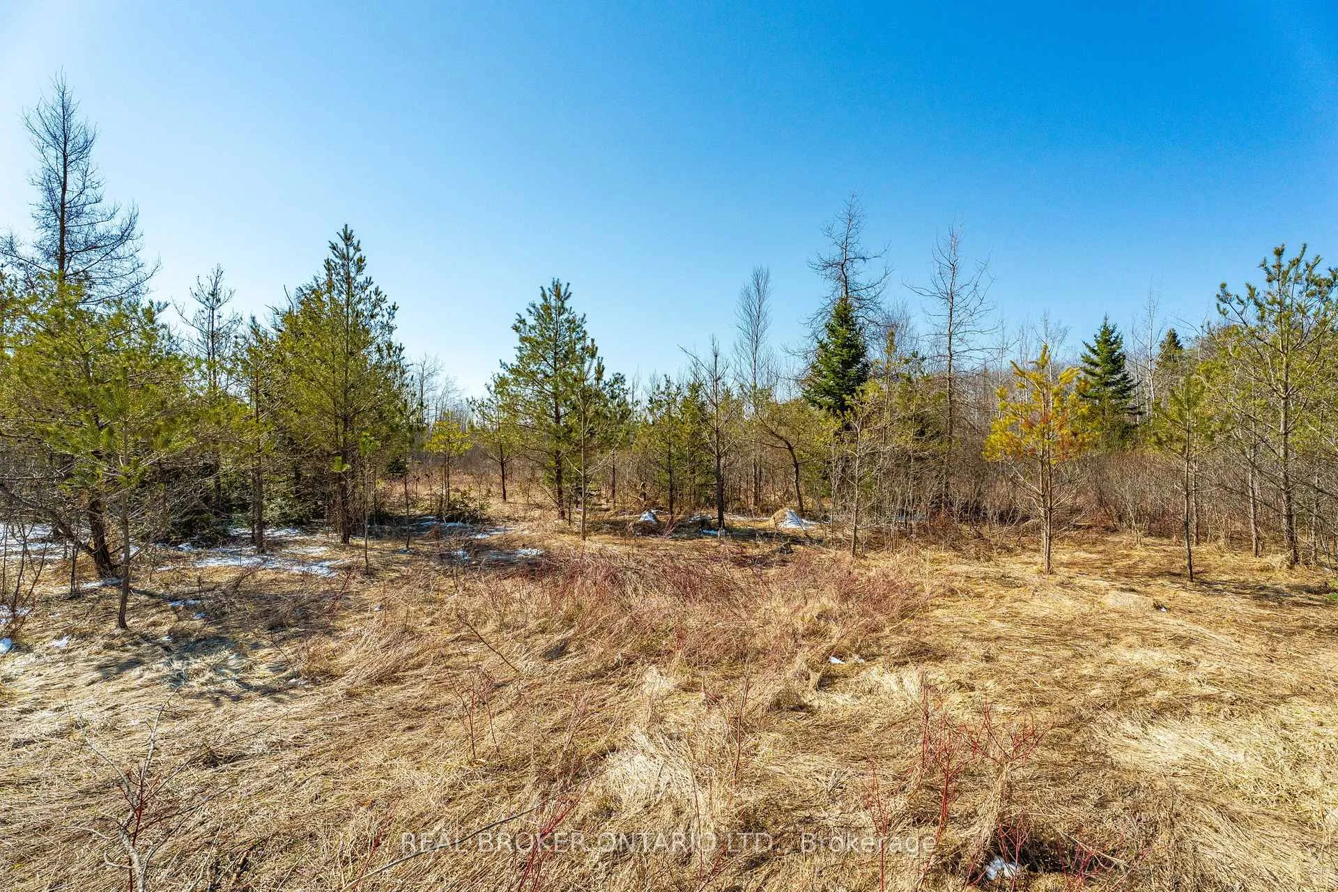 Photo 48 of Concession 11 Part Lot 42, Southgate — HOMEH
