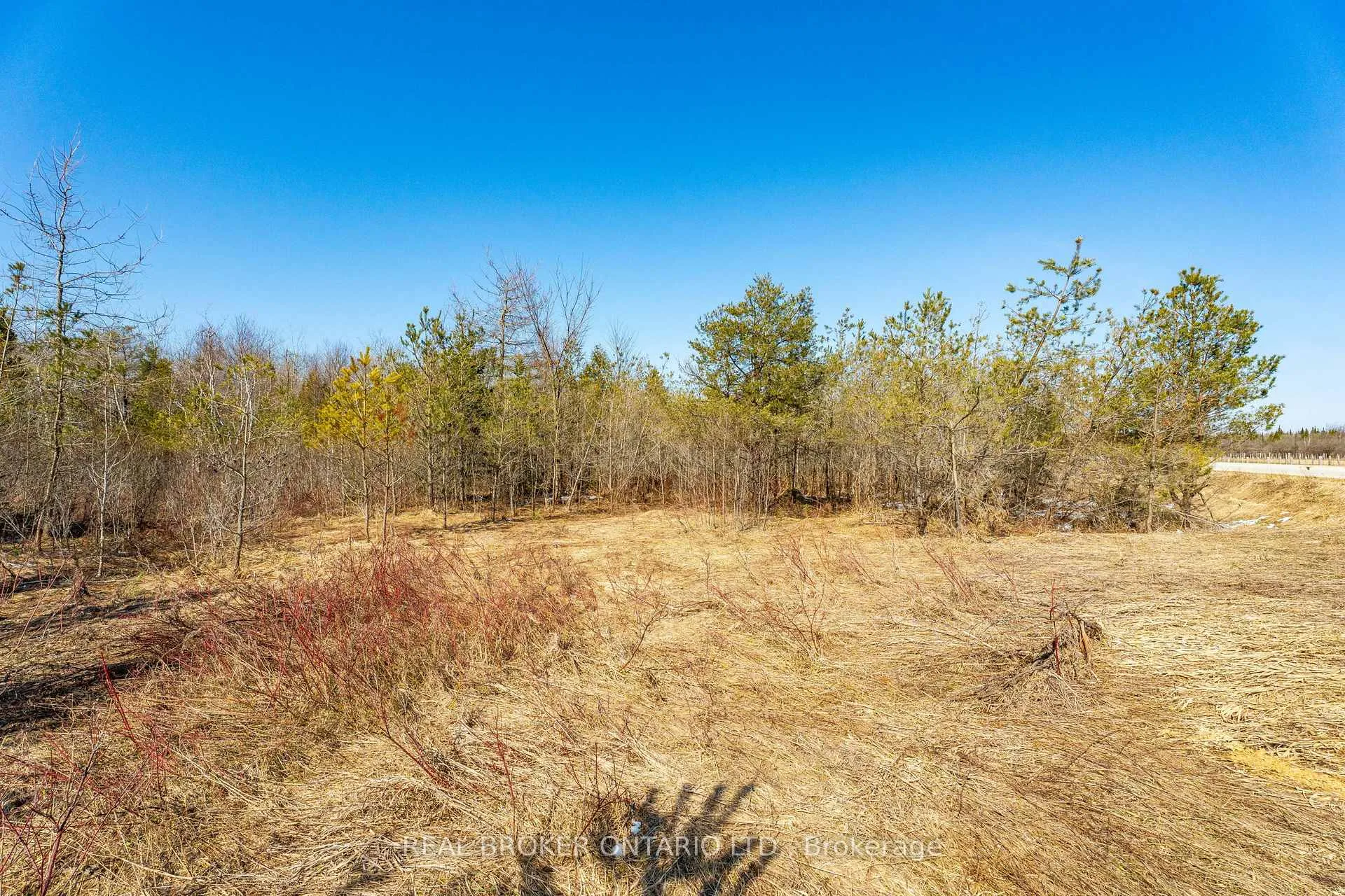 Photo 49 of Concession 11 Part Lot 42, Southgate — HOMEH