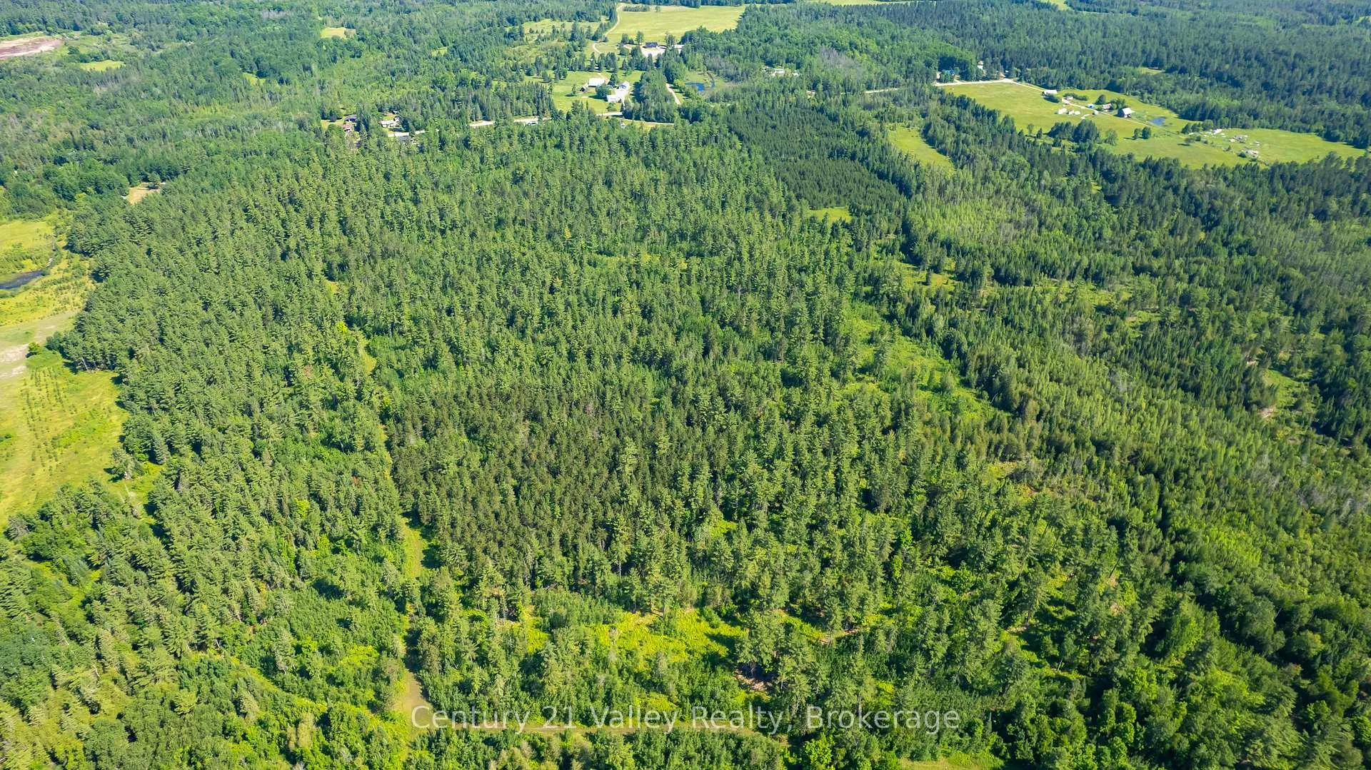 Photo 8 of Wentland Road, Bonnechere Valley, Eganville/Bonnechere Twp — HOMEH