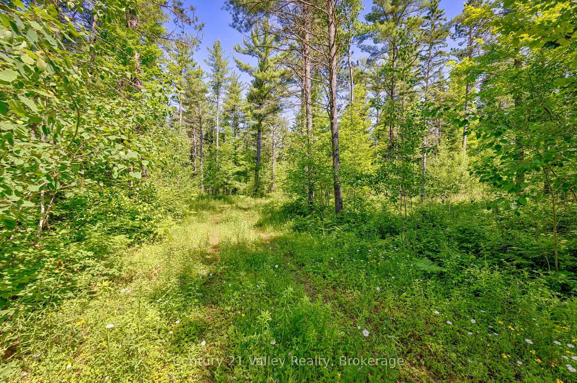 Photo 10 of Wentland Road, Bonnechere Valley, Eganville/Bonnechere Twp — HOMEH