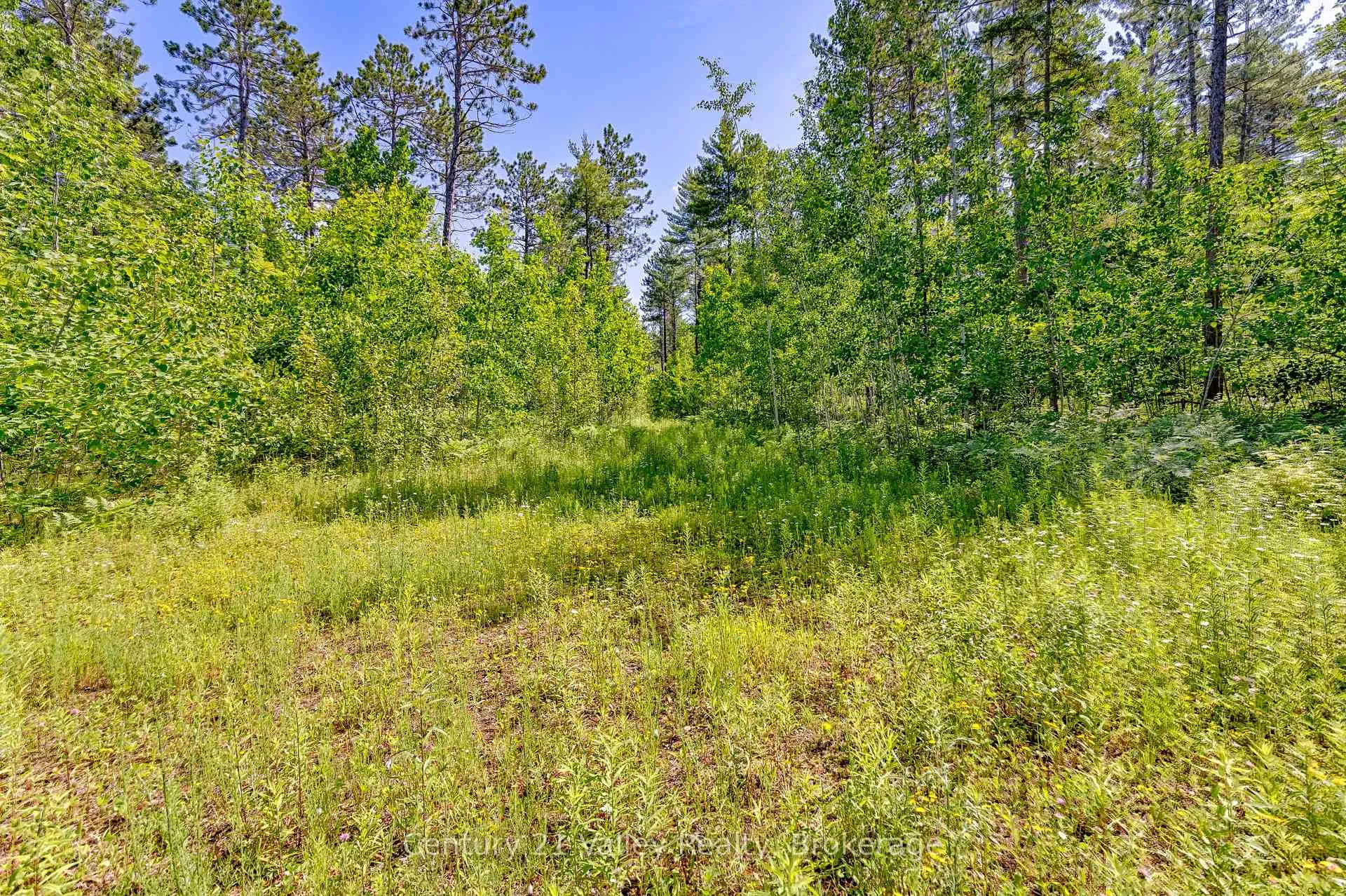 Photo 11 of Wentland Road, Bonnechere Valley, Eganville/Bonnechere Twp — HOMEH