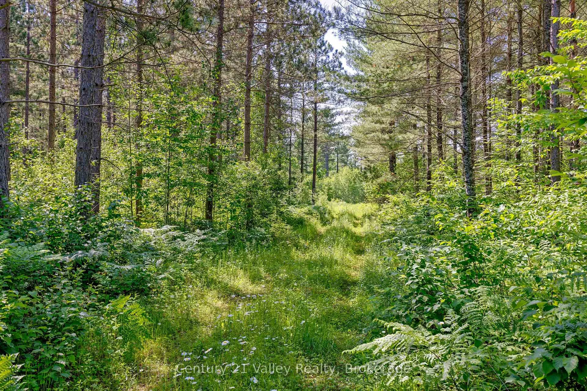 Photo 12 of Wentland Road, Bonnechere Valley, Eganville/Bonnechere Twp — HOMEH