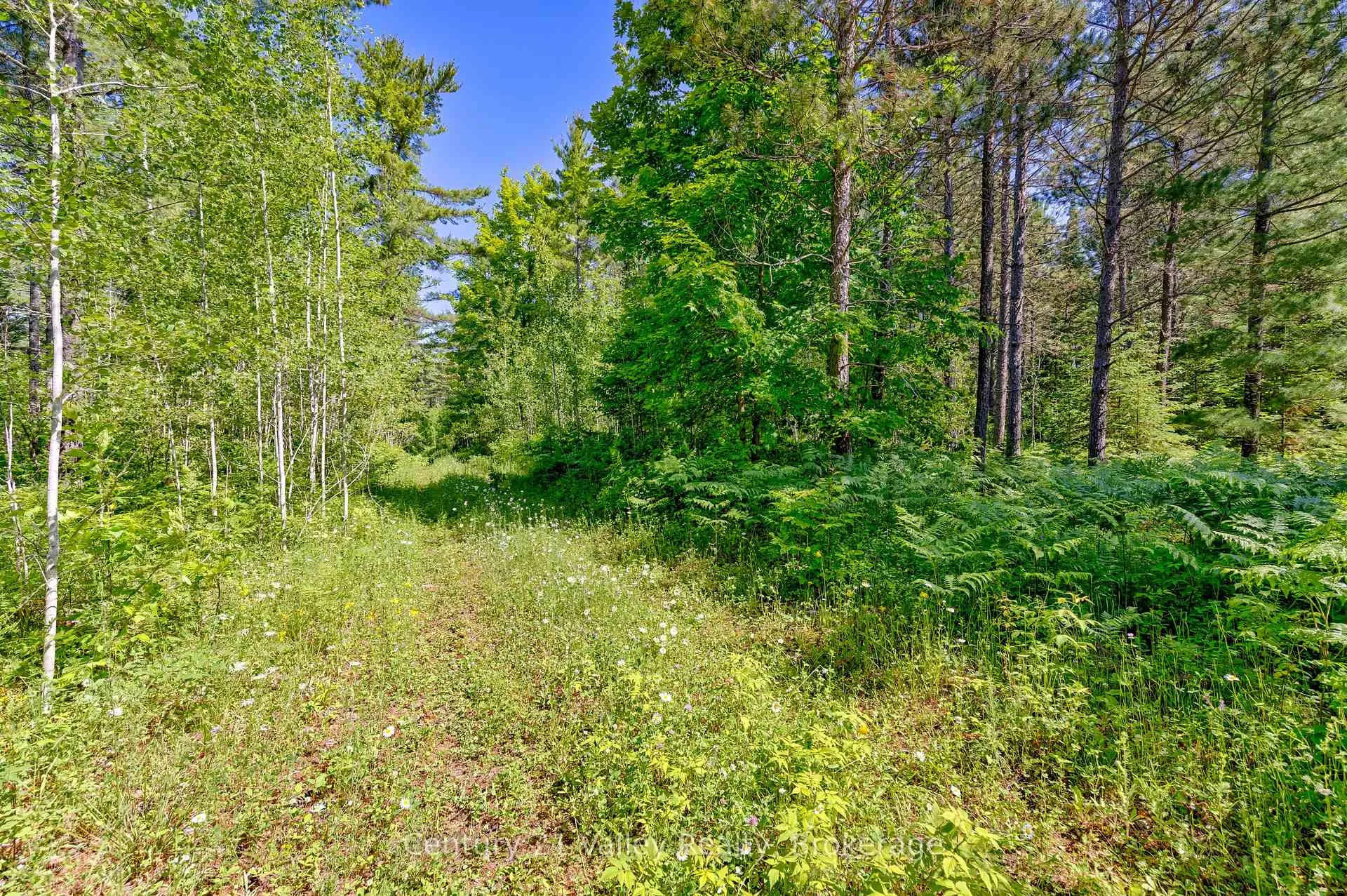 Photo 13 of Wentland Road, Bonnechere Valley, Eganville/Bonnechere Twp — HOMEH
