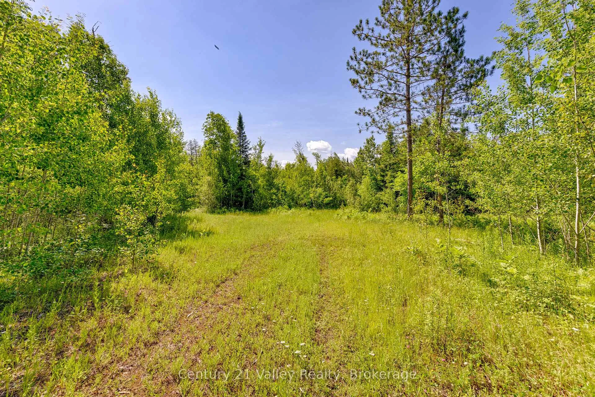 Photo 14 of Wentland Road, Bonnechere Valley, Eganville/Bonnechere Twp — HOMEH