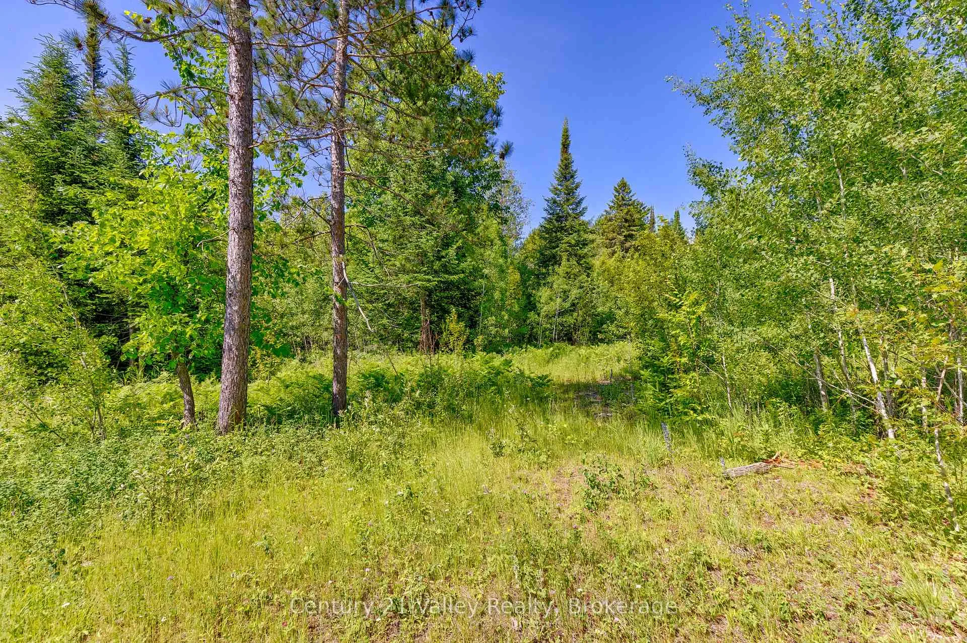 Photo 15 of Wentland Road, Bonnechere Valley, Eganville/Bonnechere Twp — HOMEH