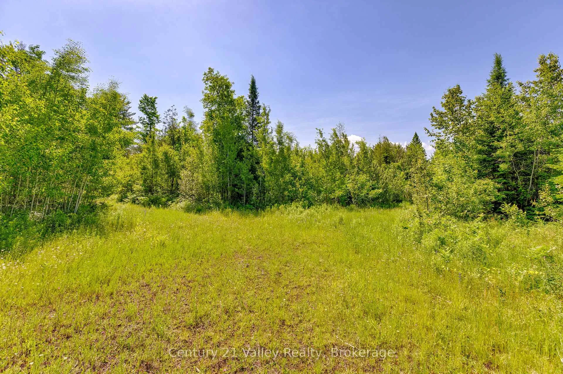 Photo 16 of Wentland Road, Bonnechere Valley, Eganville/Bonnechere Twp — HOMEH