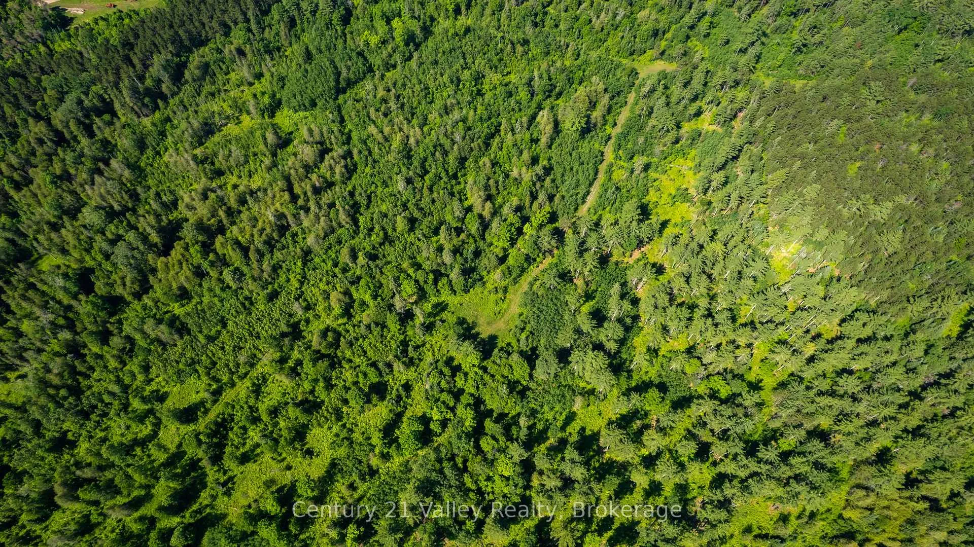 Photo 17 of Wentland Road, Bonnechere Valley, Eganville/Bonnechere Twp — HOMEH
