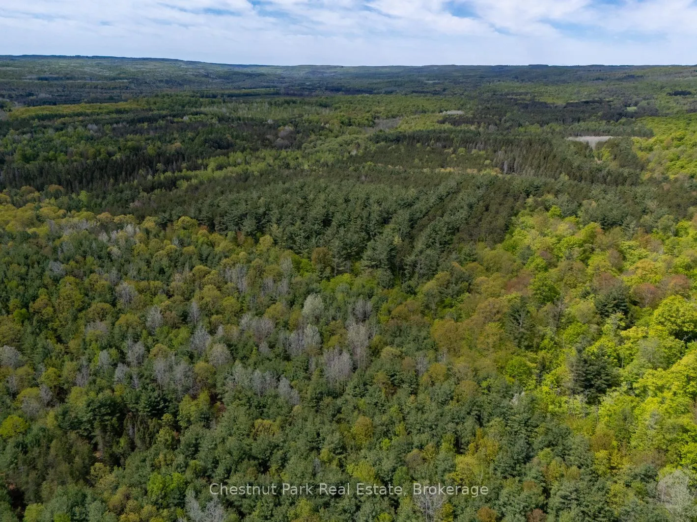 Photo 6 of PT 2 LT 24 4th Line E, Mulmur, Rural Mulmur — HOMEH