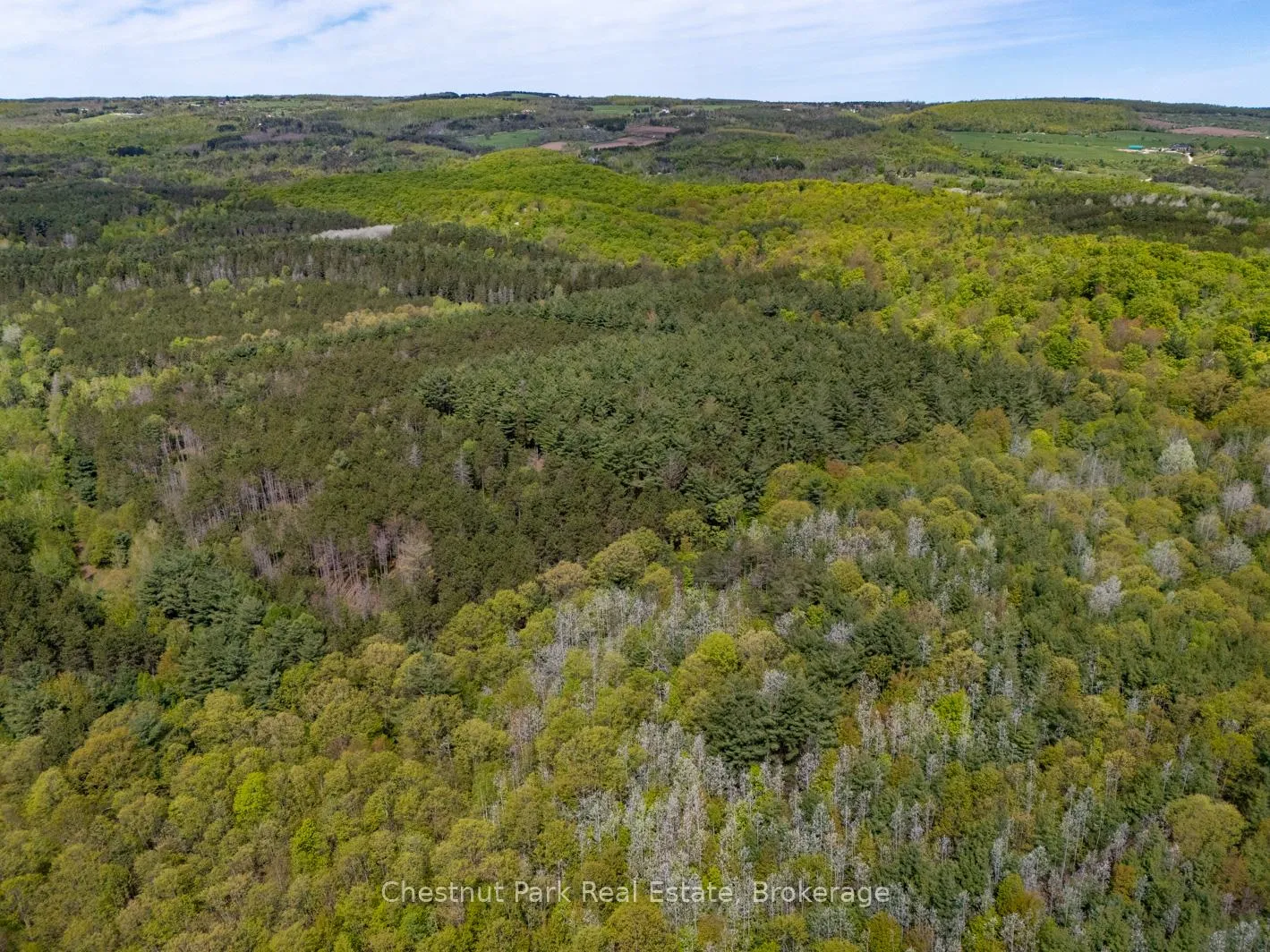 Photo 9 of PT 2 LT 24 4th Line E, Mulmur, Rural Mulmur — HOMEH