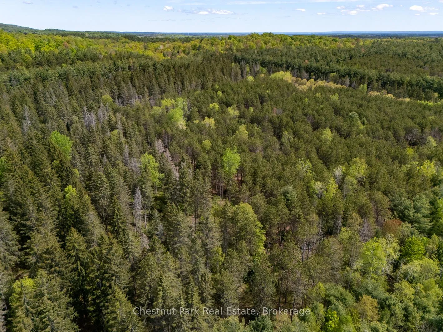 Photo 12 of PT 2 LT 24 4th Line E, Mulmur, Rural Mulmur — HOMEH