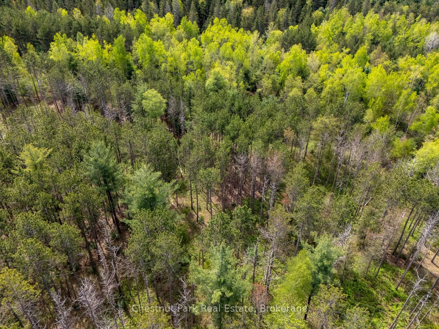 Photo 17 of PT 2 LT 24 4th Line E, Mulmur, Rural Mulmur — HOMEH