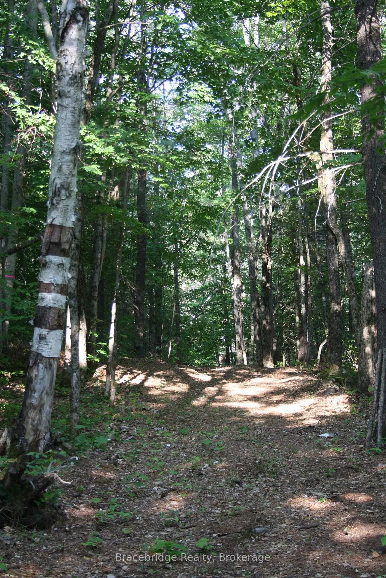 Photo 2 of Rainey Road, Bracebridge, Draper — HOMEH