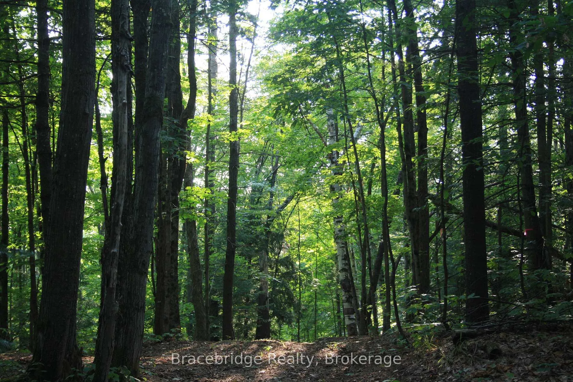 Photo 3 of Rainey Road, Bracebridge, Draper — HOMEH