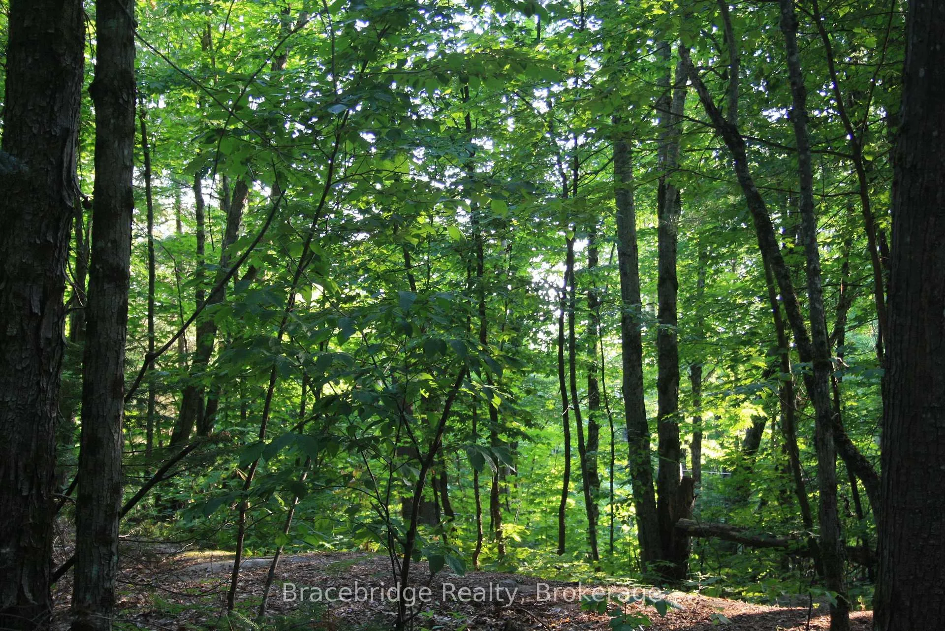 Photo 4 of Rainey Road, Bracebridge, Draper — HOMEH