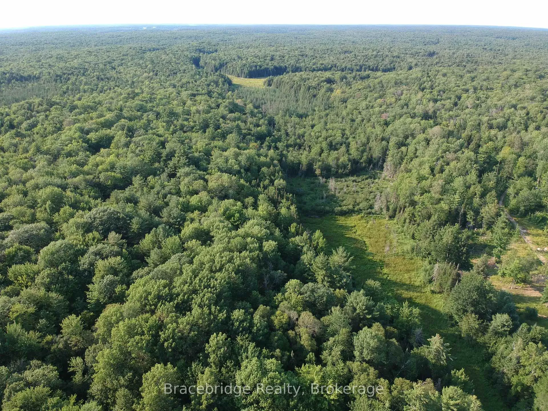 Photo 5 of Rainey Road, Bracebridge, Draper — HOMEH