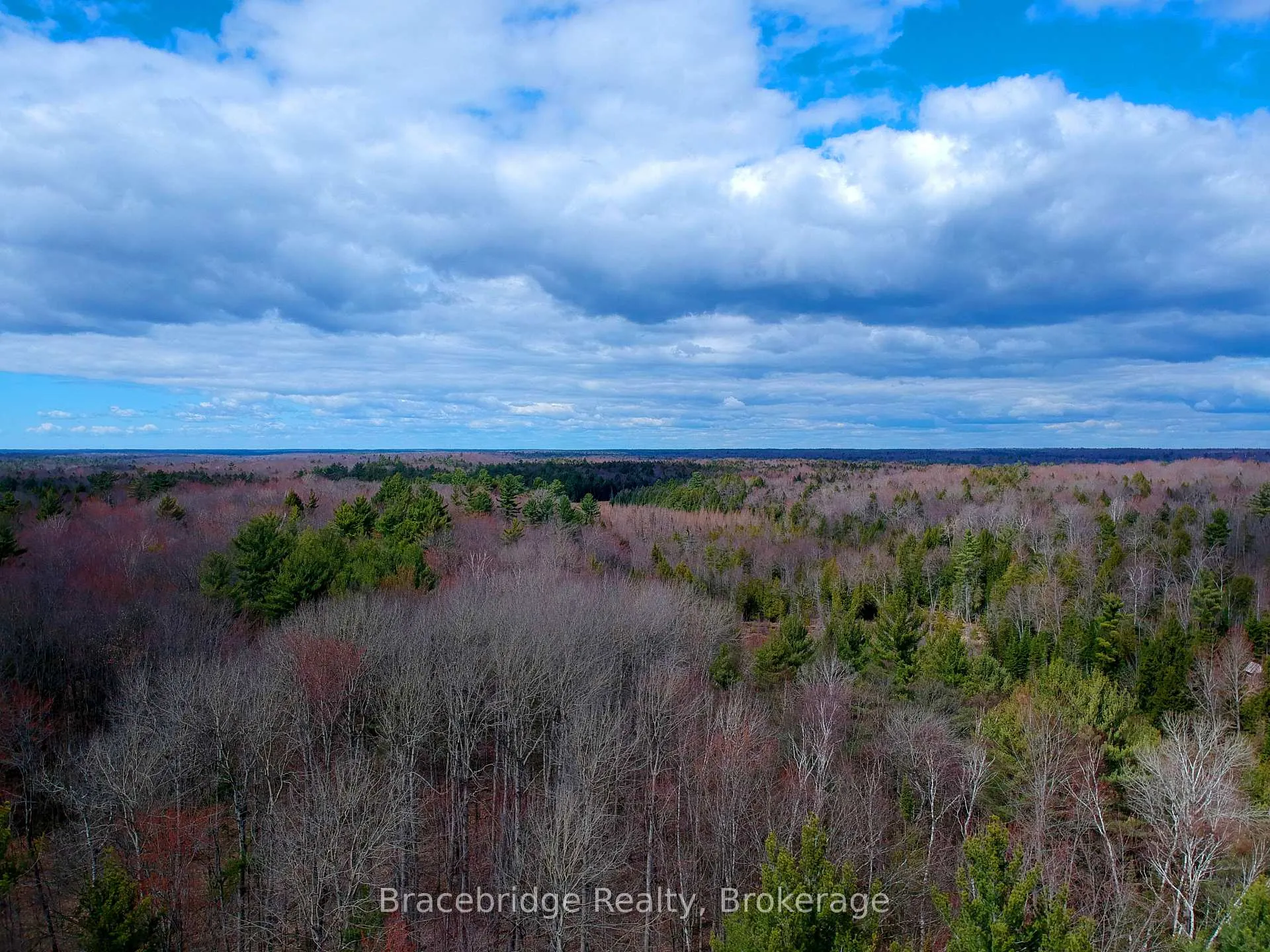 Photo 7 of Rainey Road, Bracebridge, Draper — HOMEH