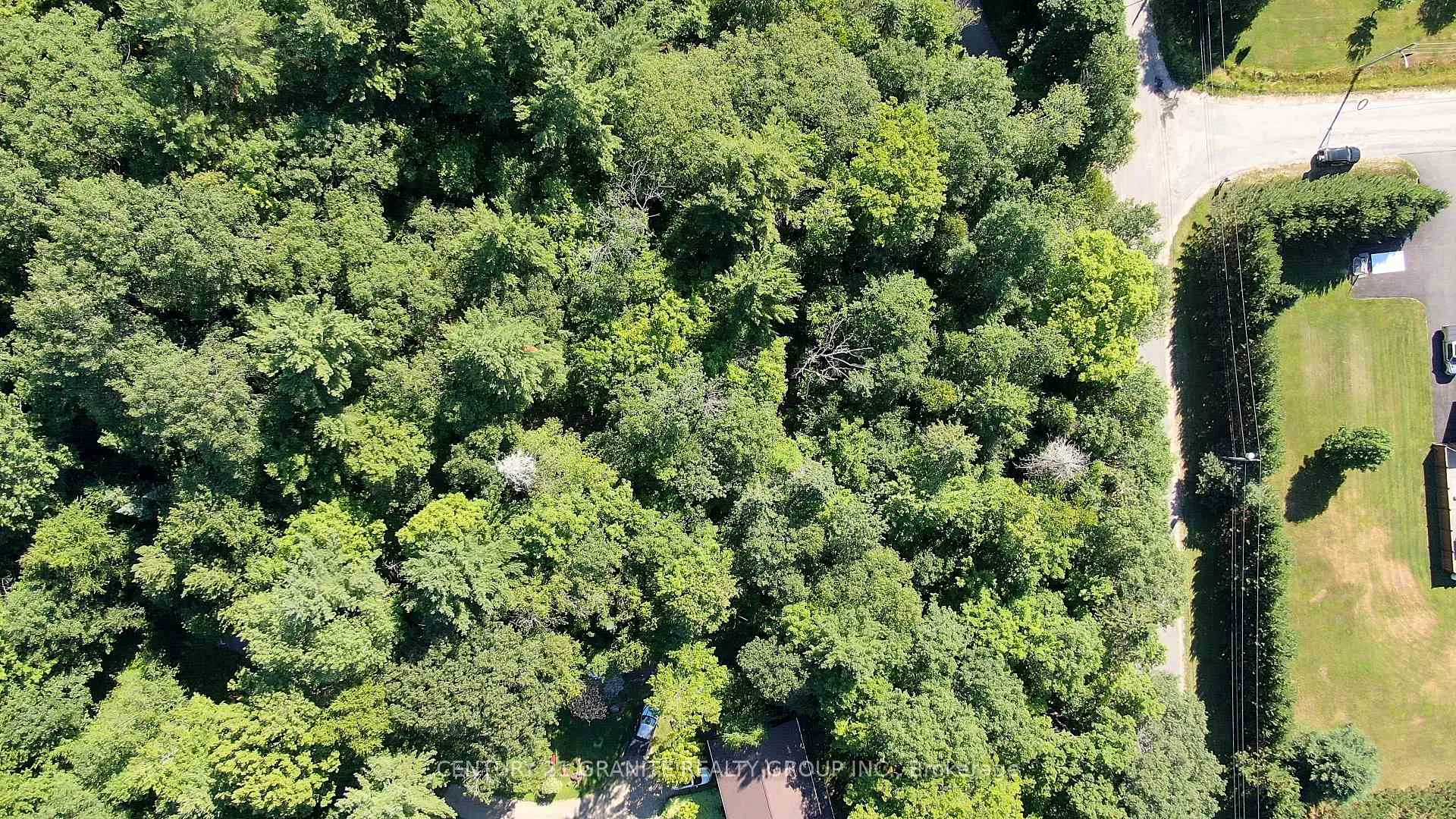 Photo 7 of Maxwell Settlement Road, Bancroft, Bancroft Ward — HOMEH