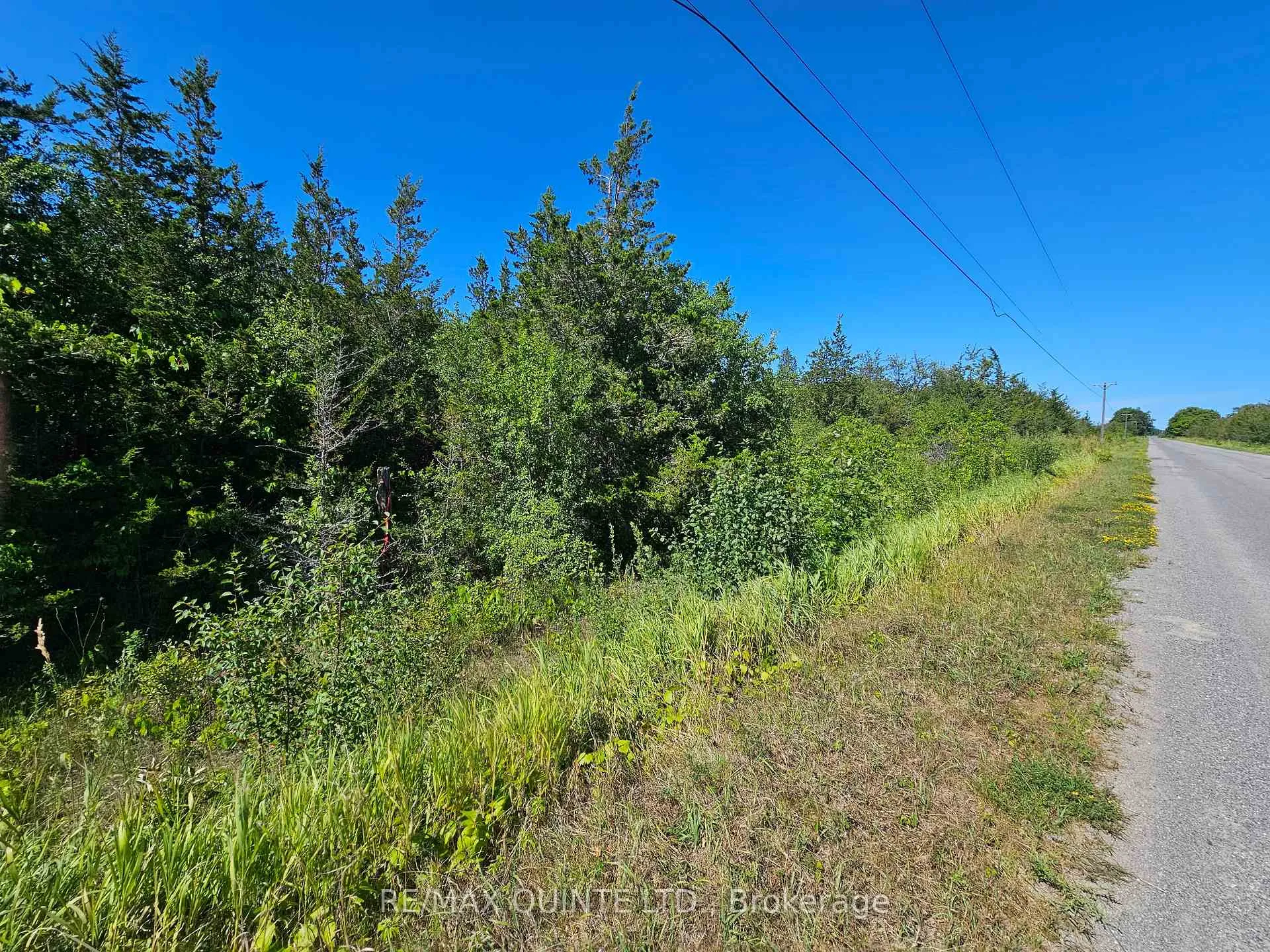 Photo 1 of Beside 101 Royal Road, Prince Edward County, Athol Ward — HOMEH