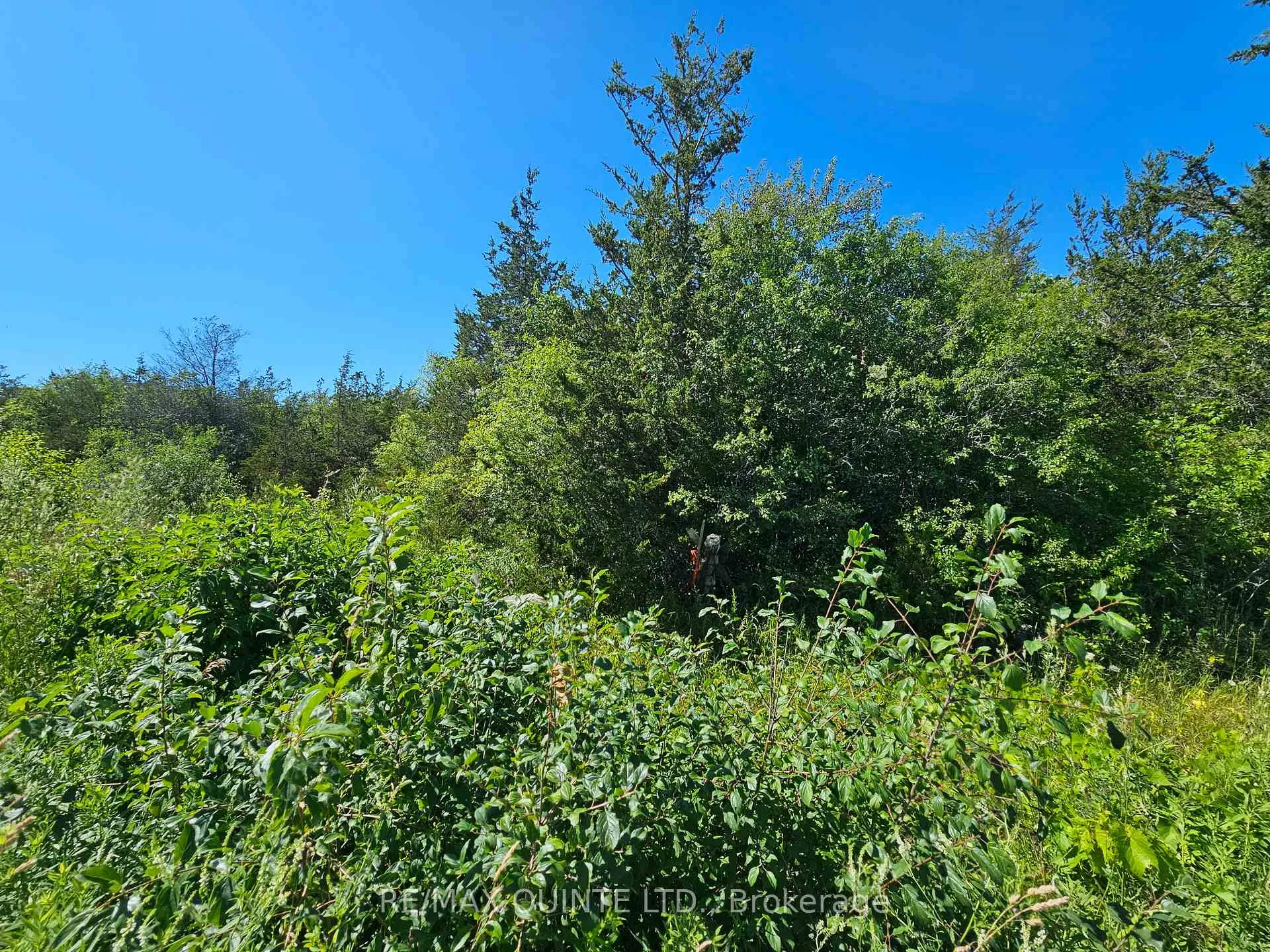 Photo 3 of Beside 101 Royal Road, Prince Edward County, Athol Ward — HOMEH