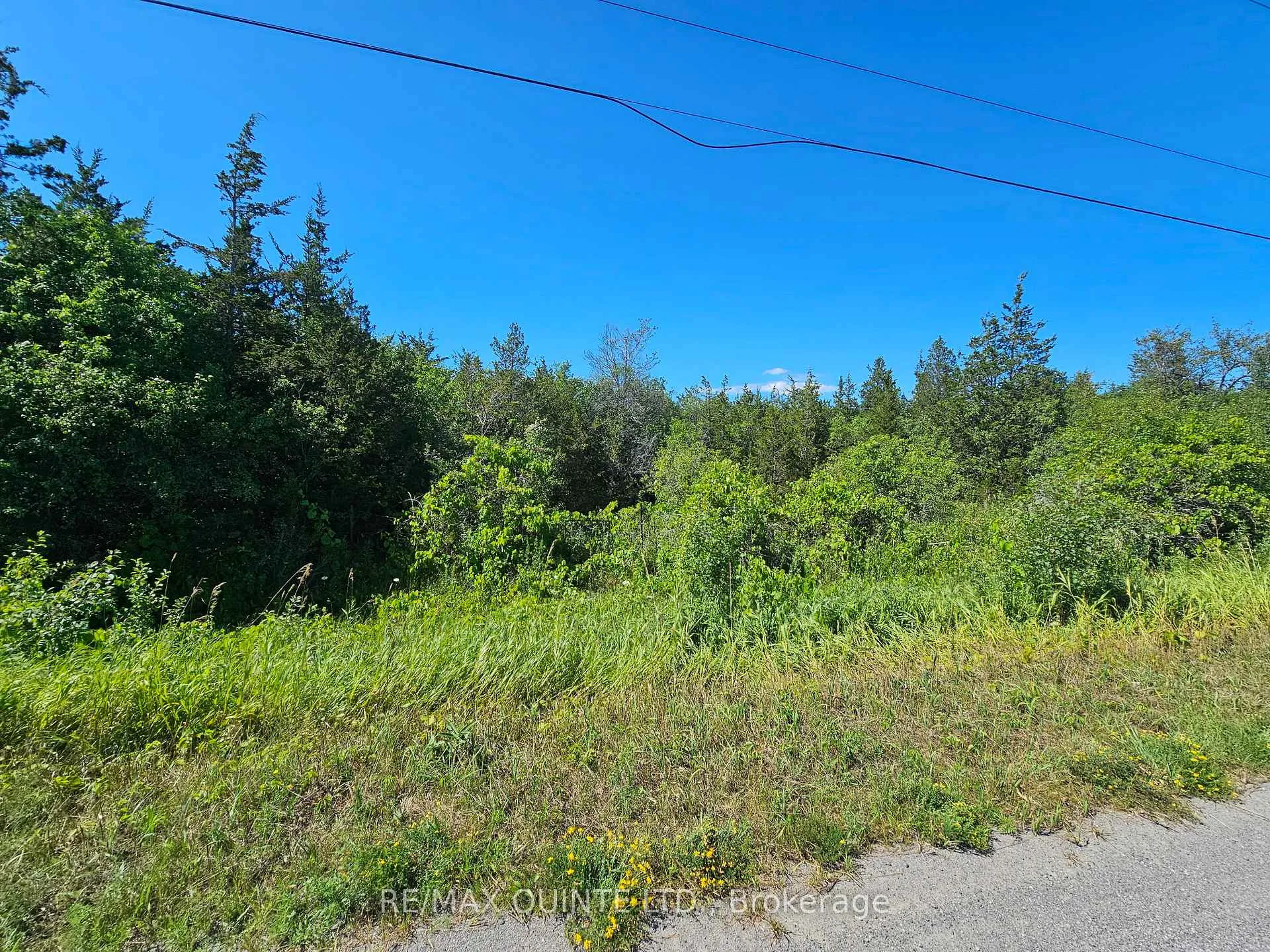 Photo 4 of Beside 101 Royal Road, Prince Edward County, Athol Ward — HOMEH