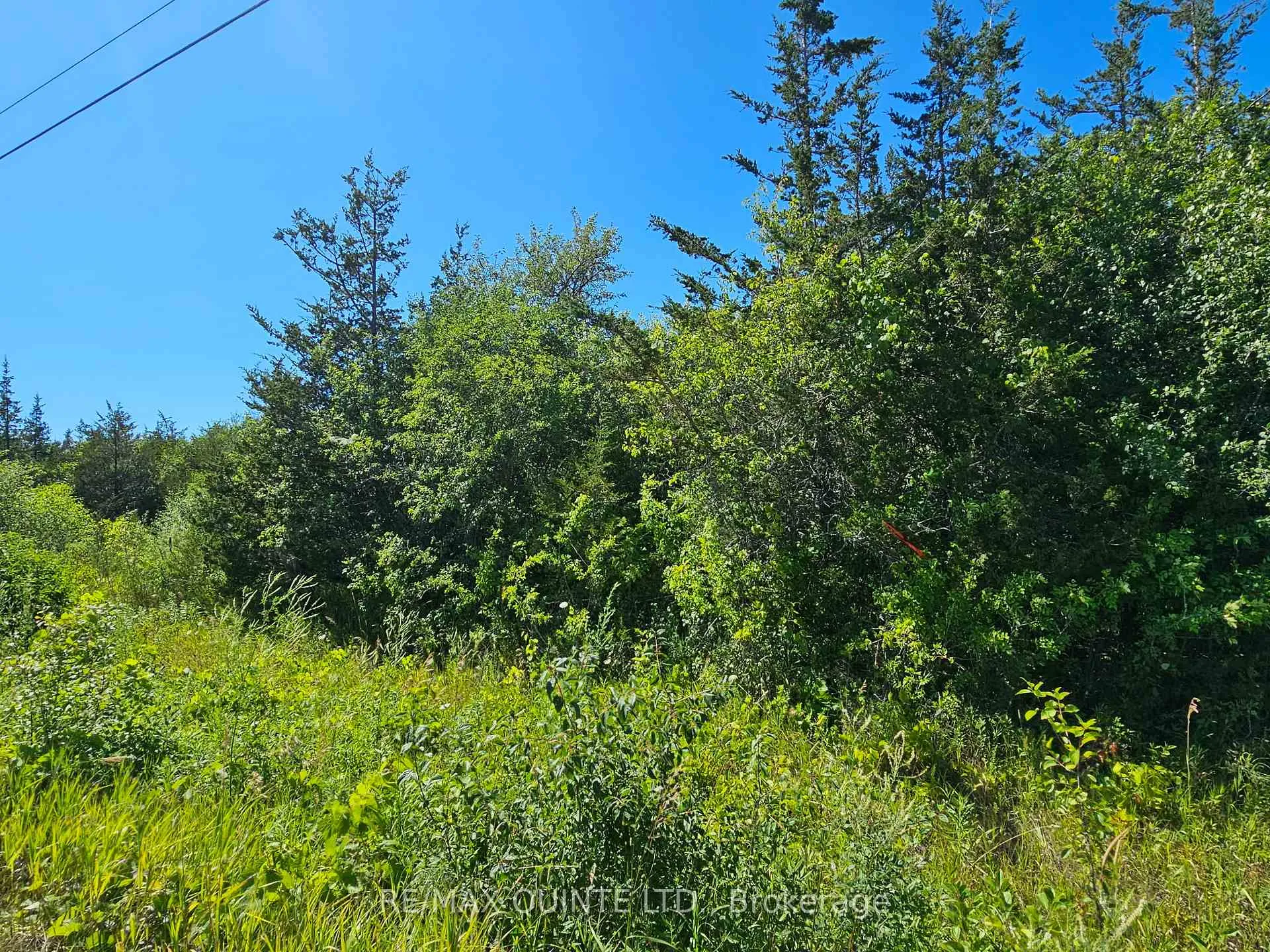 Photo 5 of Beside 101 Royal Road, Prince Edward County, Athol Ward — HOMEH