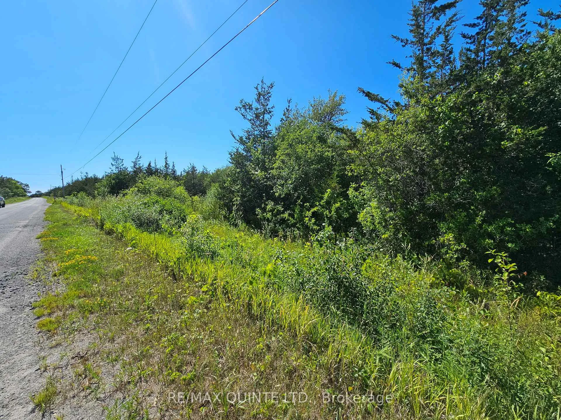 Photo 7 of Beside 101 Royal Road, Prince Edward County, Athol Ward — HOMEH