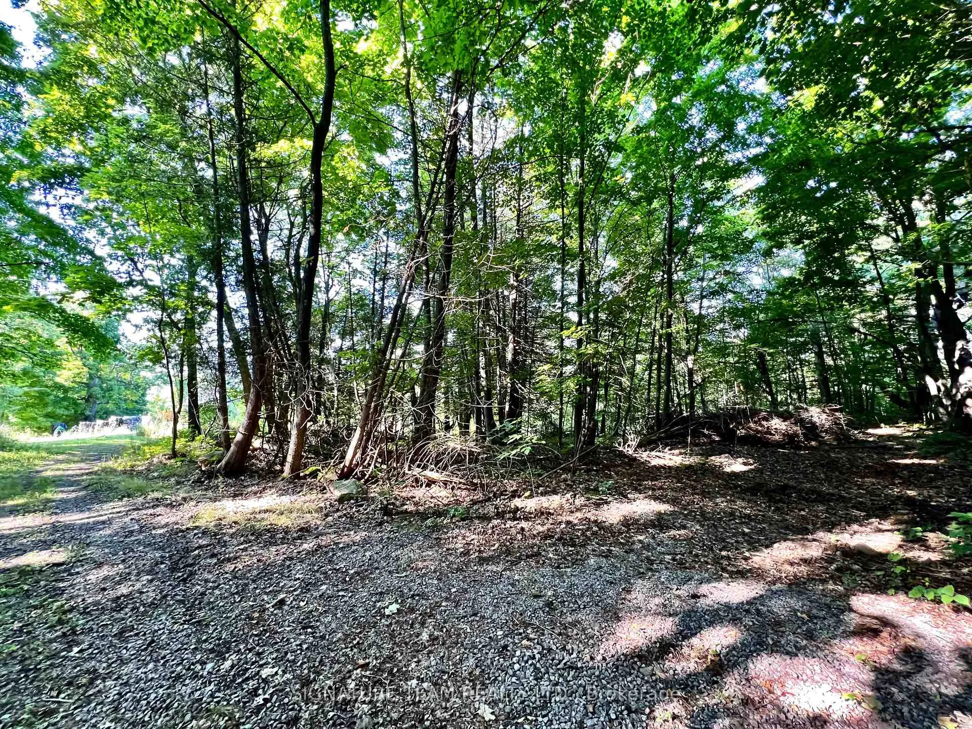 Photo 3 of Elgin Street, Bonnechere Valley, Eganville/Bonnechere Twp — HOMEH