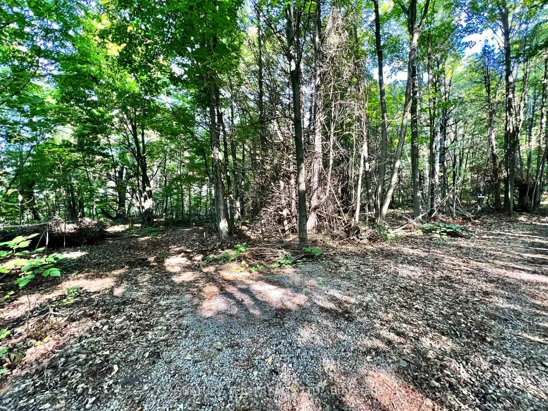 Photo 4 of Elgin Street, Bonnechere Valley, Eganville/Bonnechere Twp — HOMEH