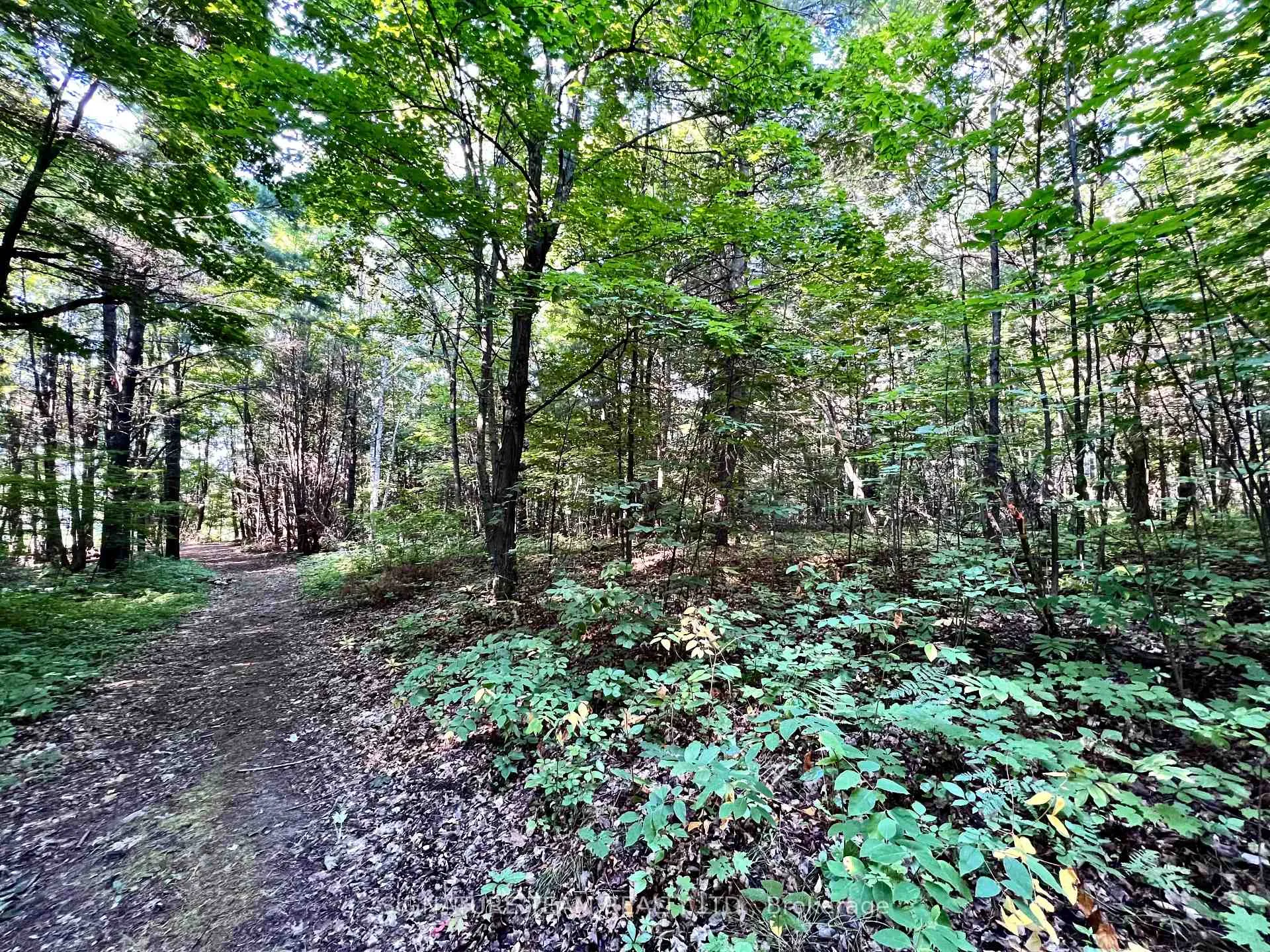 Photo 5 of Elgin Street, Bonnechere Valley, Eganville/Bonnechere Twp — HOMEH