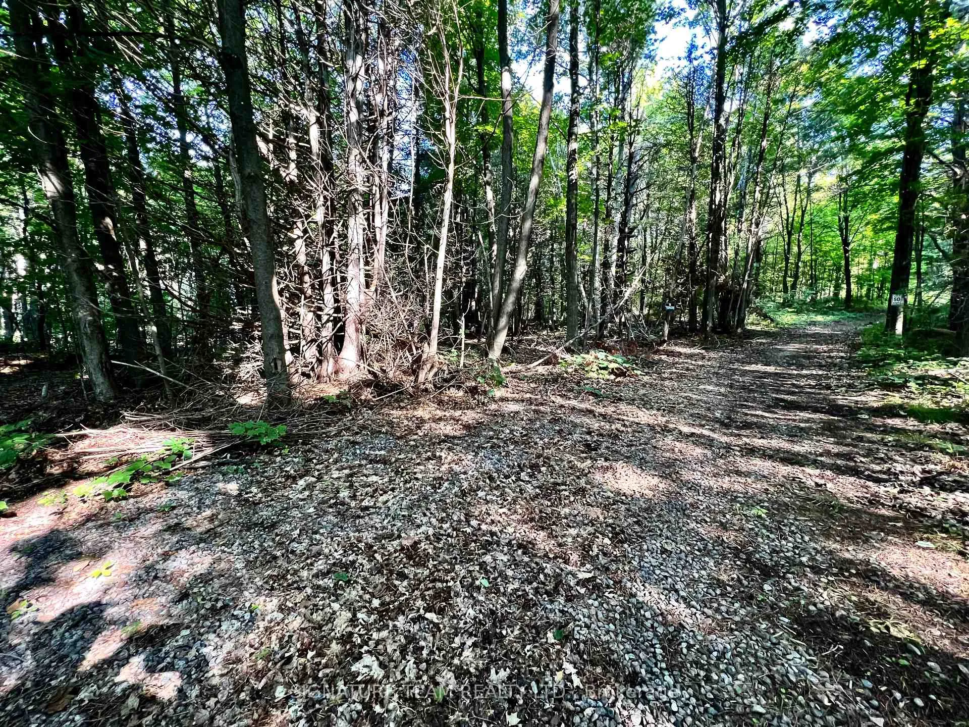 Photo 6 of Elgin Street, Bonnechere Valley, Eganville/Bonnechere Twp — HOMEH