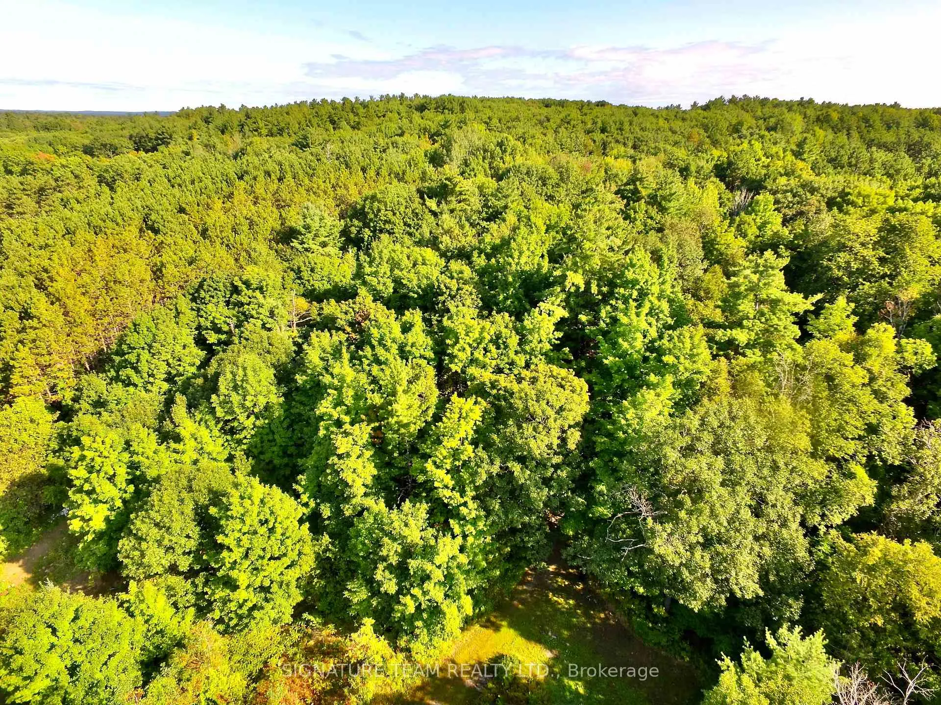 Photo 7 of Elgin Street, Bonnechere Valley, Eganville/Bonnechere Twp — HOMEH